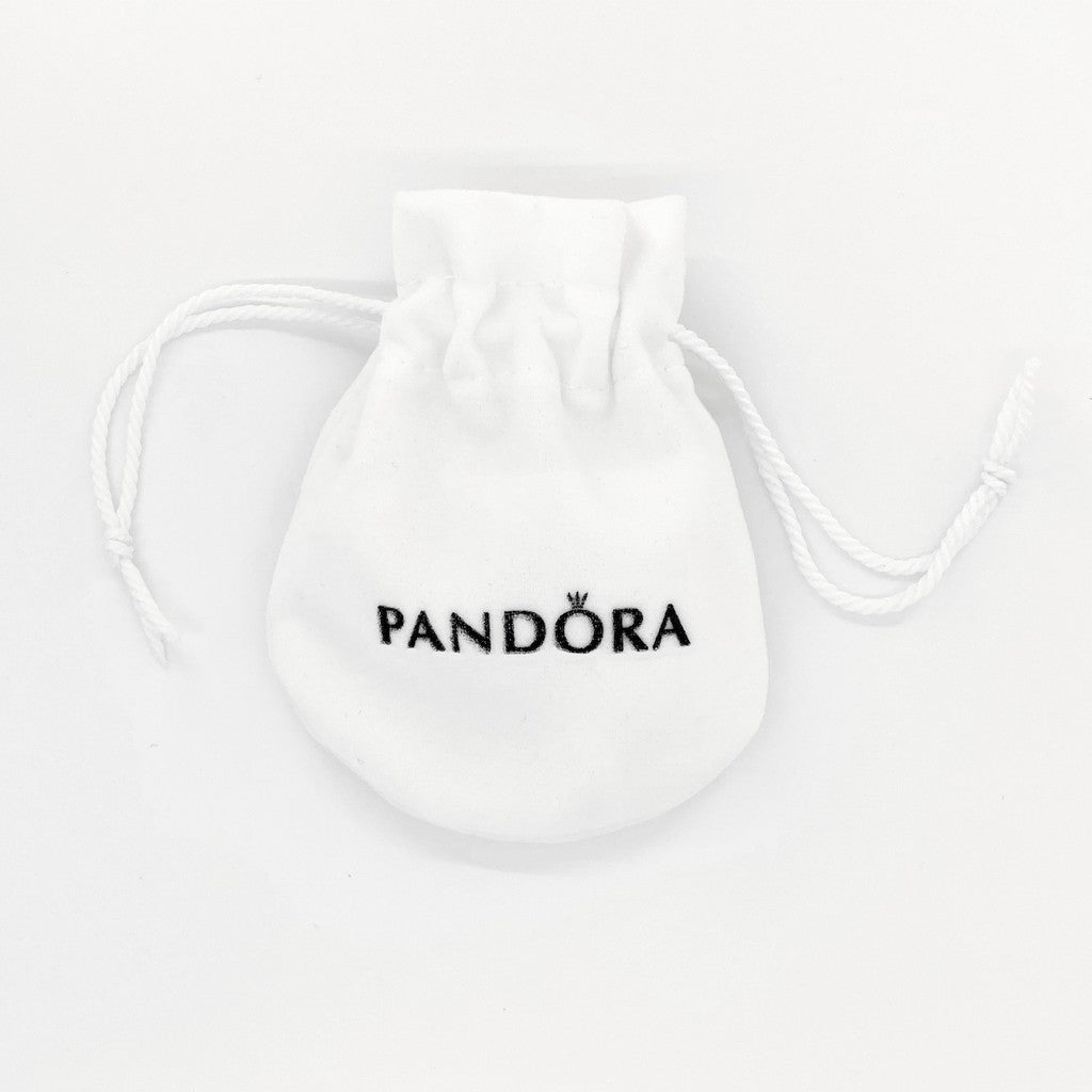 pan earrings gift box and pan paper bag bracelet box silver Polishing cloth necklace ring gift box