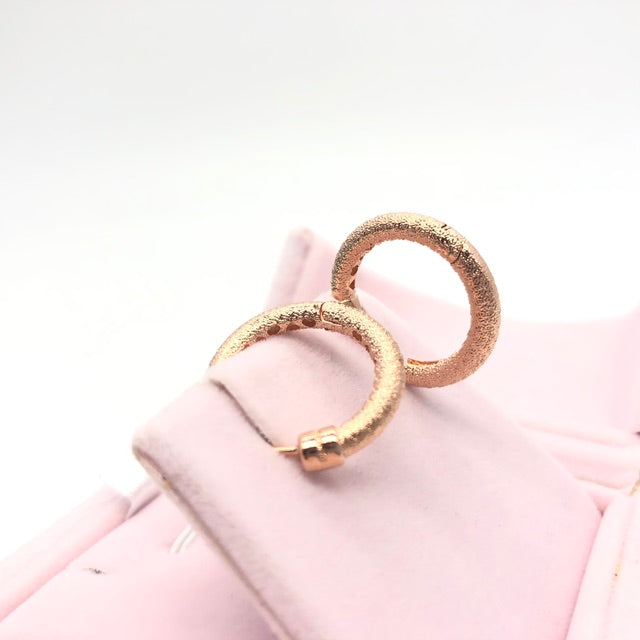 PAN ROSE MATTE BRILLIANCE EARRING HOOPS silver Earrings 287930 rose gold