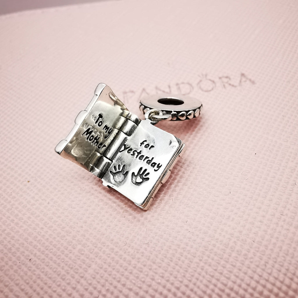 【Moments】Pan FAMILY BOOK HANGING CHARM 925 Silver for women pendant 798105