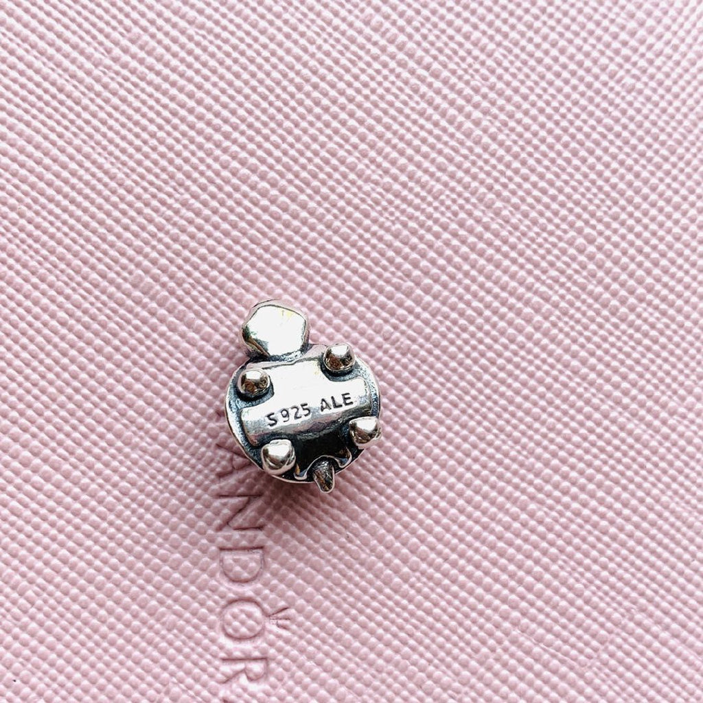 【Moments】Pan BRIGHT-EYED TURTLE CHARM 925 Silver for women 797878CZ