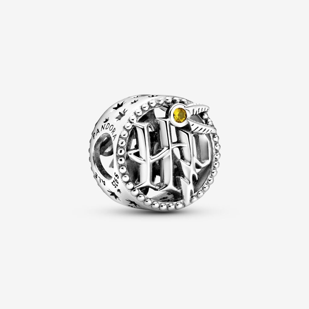 【Moments】Harry Potter Openwork Harry Potter Icons Charm 799127C01 925 silver