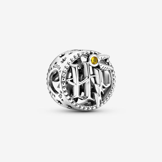 【Moments】Harry Potter Openwork Harry Potter Icons Charm 799127C01 925 silver