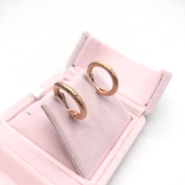 PAN ROSE MATTE BRILLIANCE EARRING HOOPS silver Earrings 287930 rose gold