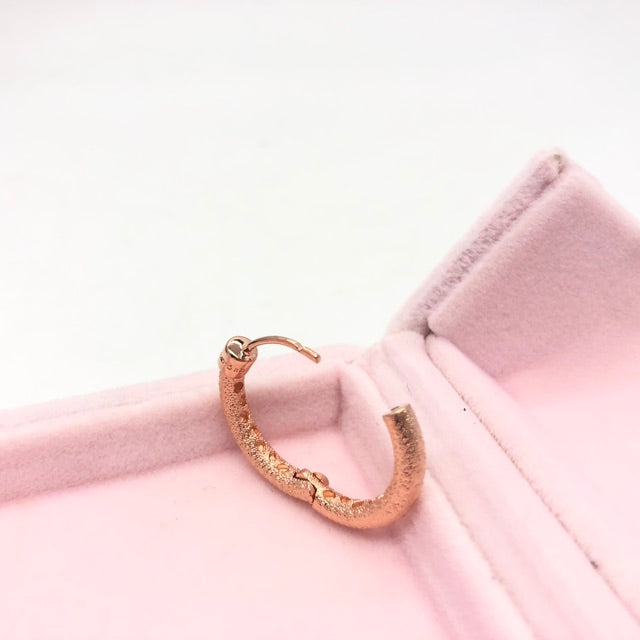 PAN ROSE MATTE BRILLIANCE EARRING HOOPS silver Earrings 287930 rose gold